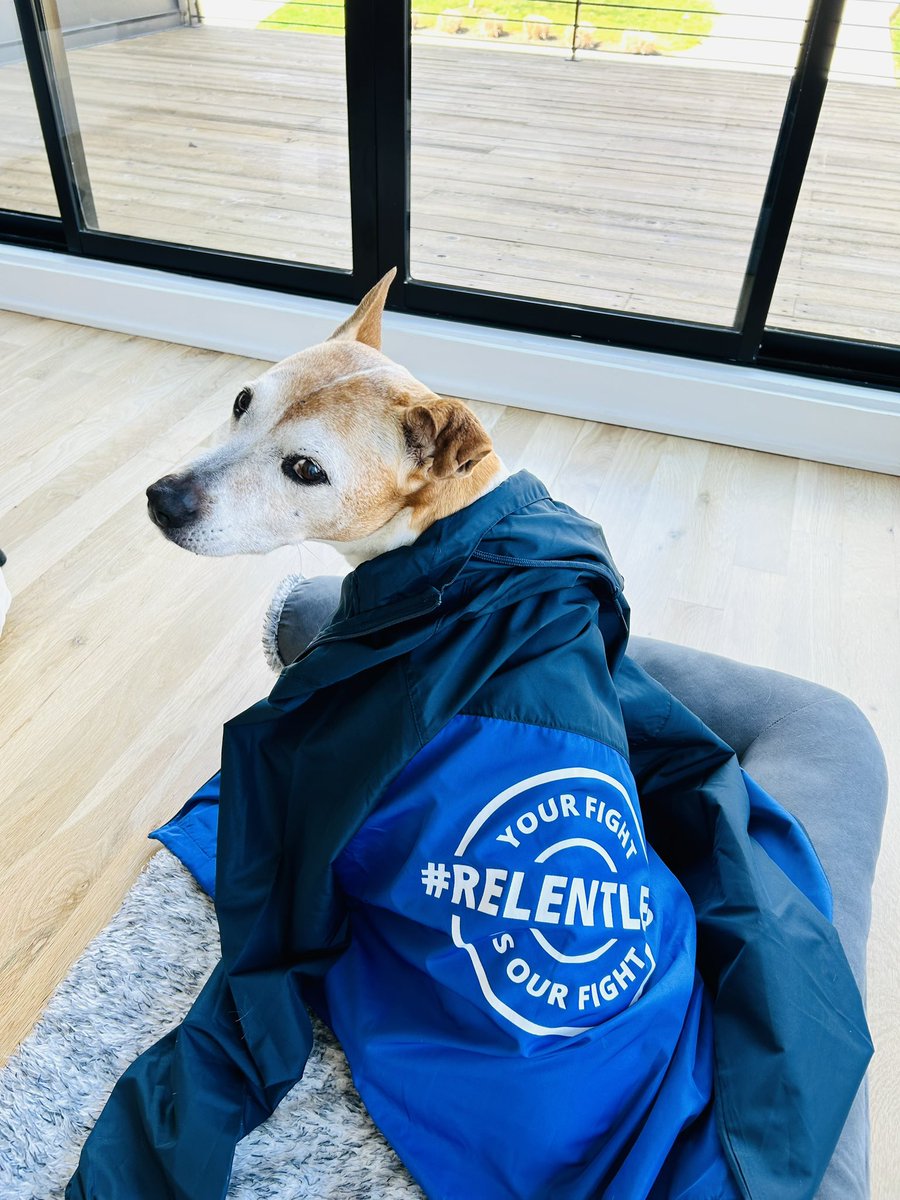 CathyEngMD's tweet photo. @FightCRC Lesdership with @AnjeeDavis and Michelle Baker #Relentlesschampions despite the weather in DC for #calloncongress. 🙏🏻💙💪🏻 for all that you do! #ColorectalCancerAwarenessMonth #cancer #crsm #CancerResearch @VUMC_Cancer @VUMCHemOnc @VUMCDiscoveries https://t.co/J5K1nLbry0