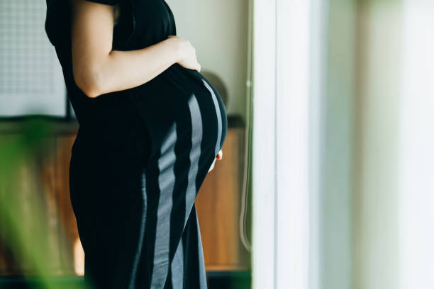 AZ Adoption Help tweet media