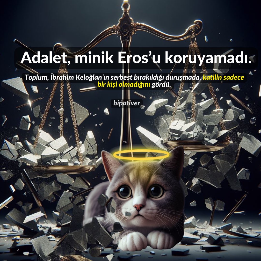 Eros’un diğer katilleri; katliam çağrısı yapan siyasiler, görev ve sorumluluklarını yerine getirmeyen belediyeler, kanunu uygulamayan yetkililer, nefret saçan medya, hayvanların yaşam haklarını ihlal eden herkes ve adaletsizliktir. 

#erosiçinadalet #katilleraramızda