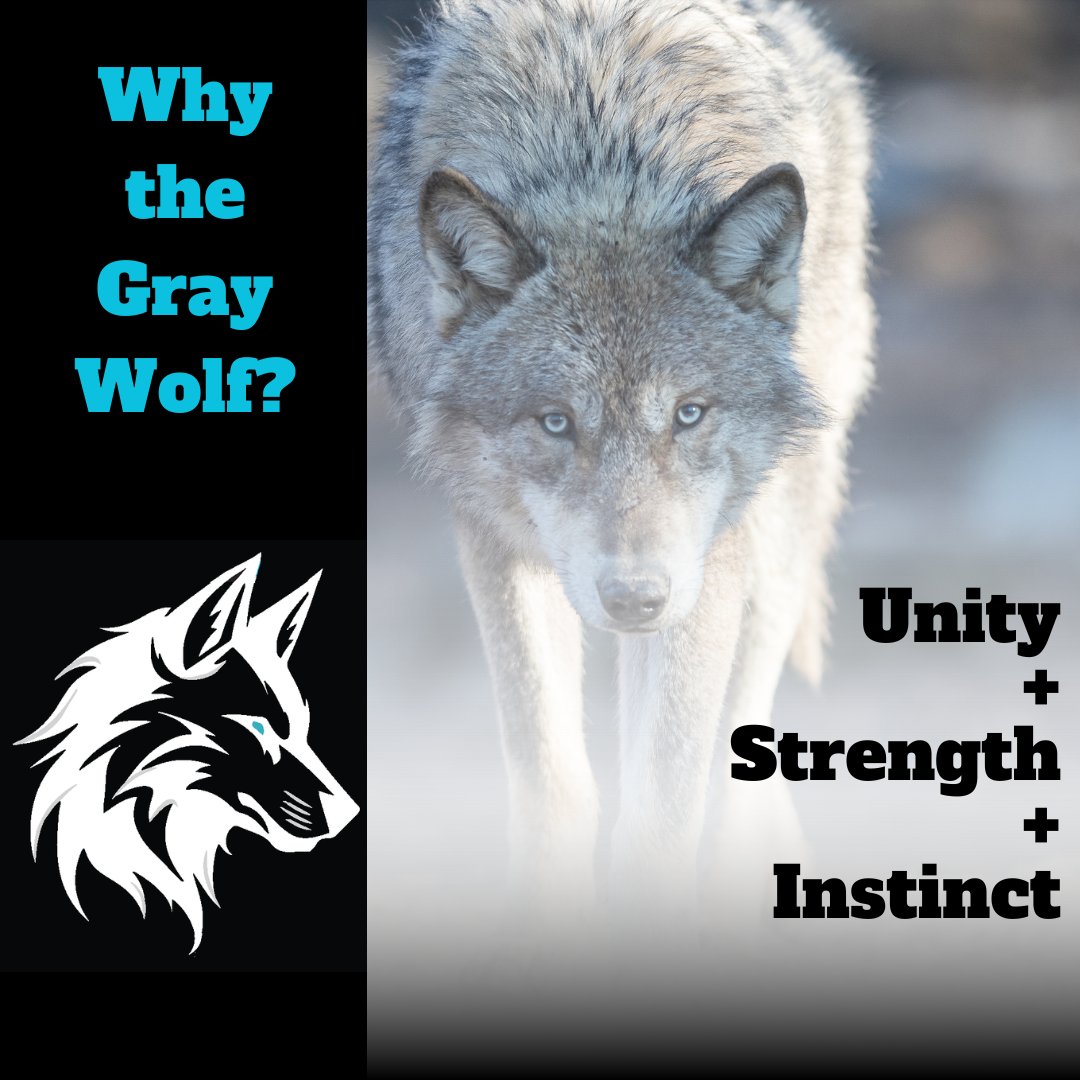 The Gray Wolf, once native to Nebraska and now an endangered species, serves as a powerful symbol for our soccer team. Just as these magnificent creatures embody unity, strength, and instinct in the wild, we find these qualities resonate deeply within our women’s soccer team.