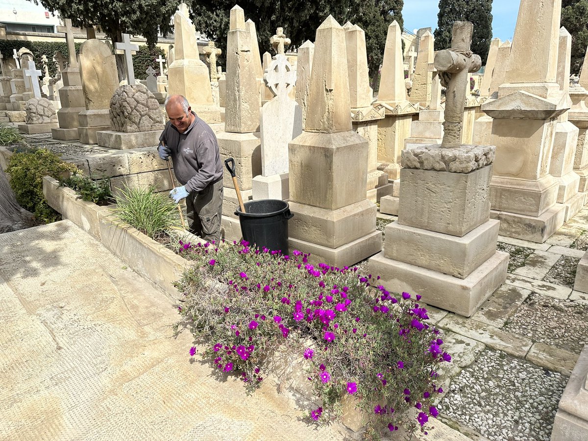 NeleBille's tweet photo. Meet Alfred, @CWGC gardener for 8 years at Pieta Military Cemetery in Malta 🇲🇹 

#WeAreCWGC #CWGCstaff 🌎 

https://t.co/l1kHiDrrzO https://t.co/z1xcQpfvsW