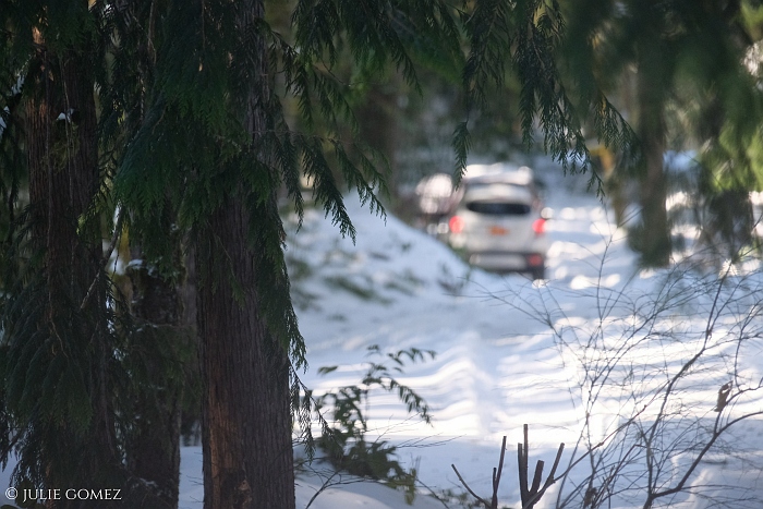 Julie Gomez tweet media