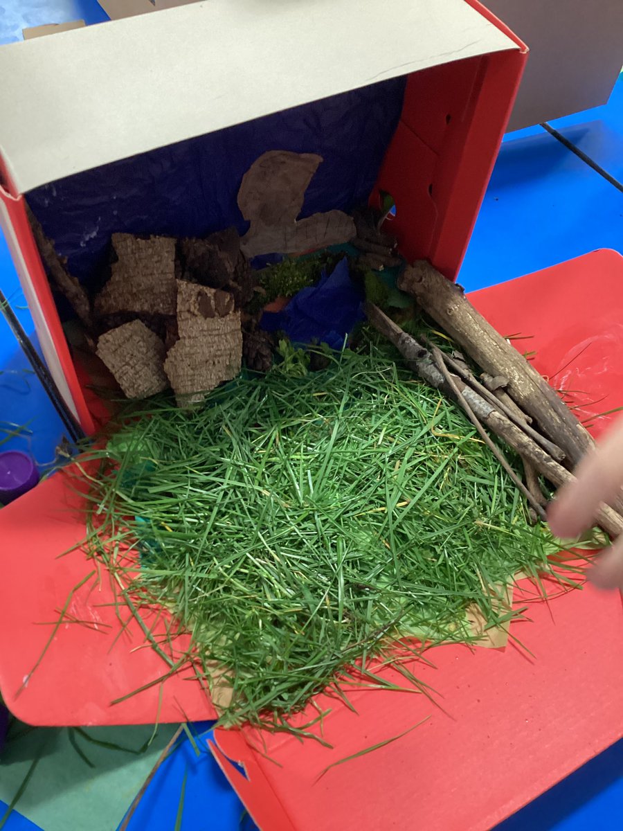 rufforthschool's tweet photo. Class 2 are having a wonderful day thinking about the nature we have in Rufforth. We are creating various birds using sketching techniques and watercolour paints. We are also making diorama boxes including the different nature we see in Rufforth. #RPSScience πΏππ¦ππ https://t.co/HEJUqNetr2