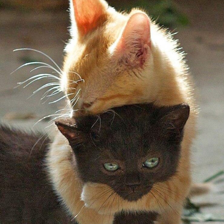 Hump day positive vibes for all those who may need it. 

Much Love to you All :))