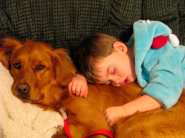 bunsenbernerbmd's tweet photo. We aren’t immune to seeing the heartbreaking posts of families losing their dogs.
Yesterday a post hit me hard and it made me think of Kahlan, the golden we had before Bunsen and before social media.
My students were writing a unit test and I had some downtime while they finished.
I sketched out the idea of a post about how dog people could care less about having supper with a deceased famous person because they would pick a lost dog in a second.
Anyway, my own post made me emotional and my eyes got misty.
A student had come up to ask me a question on the exam and asked if I was ok. I could have lied and said I got chemical in my eye (a plausible excuse as a chemistry teacher) but instead I said:
“I’m ok, I was just thinking about a dog I used to have. How can I help you?”
In that moment I realized it was the first time I publicly showed any kind of grief over a pet in front of my students.
That evening, after a long day, I had our current golden Beaker snuggling with me on the couch.
I told her about Kahlan. She didn’t understand what I was saying, but it was good to tell her some of the best stories.
Our son Adam, now a young man, still lays with Beaker the same way he did with Kahlan when he was a toddler. It’s something that gives you the warm fuzzies but also brings up memories.
The point to tie this all together is that people who have dogs know the bond they make with your family. We all empathize immensely with those who experience loss because most of us know that pain.
They represent a cycle of just goodness in our lives.
I’m going to take a page from John Stewart going forward.
I loved our Kahlan, and though she is years gone, if I’m feeling sad about it, I’m not going to be ashamed feeling feelings about it, even publicly.
In a way our emotions honor the memory of our pets because they are just so very very good.