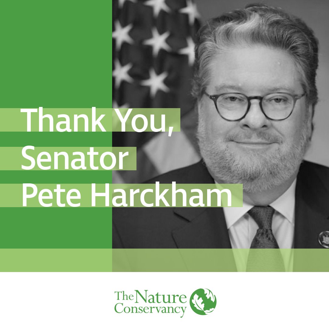 Thank you @SenatorHarckham for your leadership in restoring funding for environmental programs and clean water projects in the @NYSenate's one-house budget proposal! Every New Yorker depends on clean water and a healthy environment.