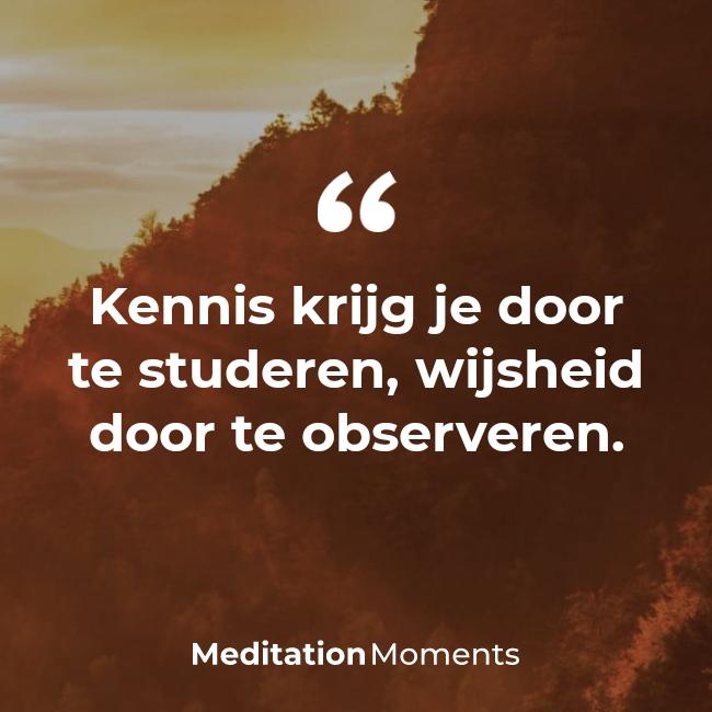 ceesp3's tweet image. 