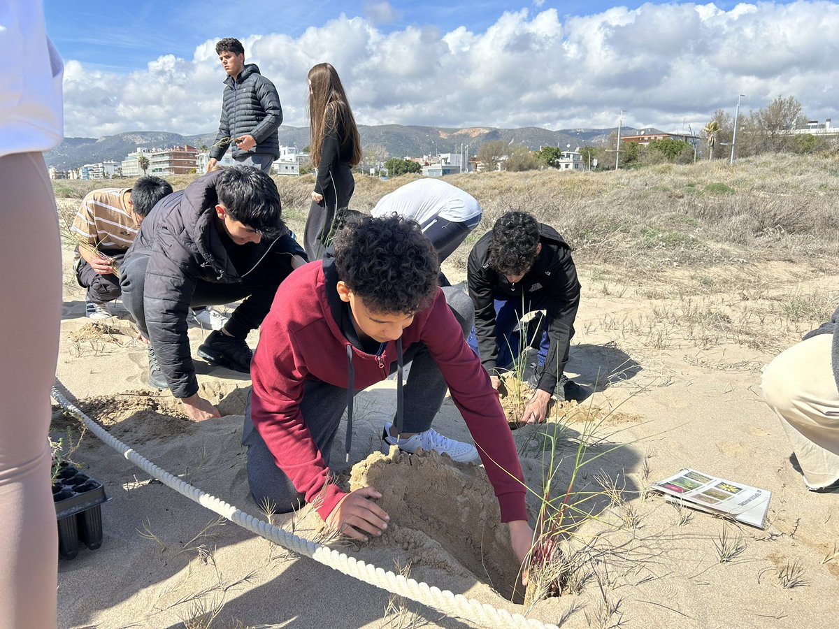 🌿Plantem futur! 

El projecte d’Aprenentatge i Servei "Recuperem les dunes" uneix estudiants d’instituts de #Gavà, #Viladecans, #ElPrat i #Castelldefels en una missió vital: promoure la #biodiversitat a les dunes de les platges metropolitanes.