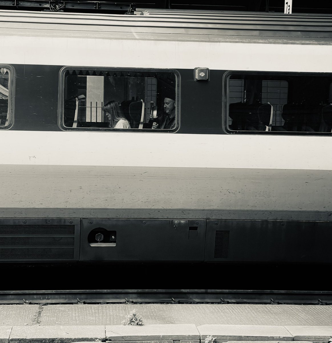 Will Sergeant tweet media