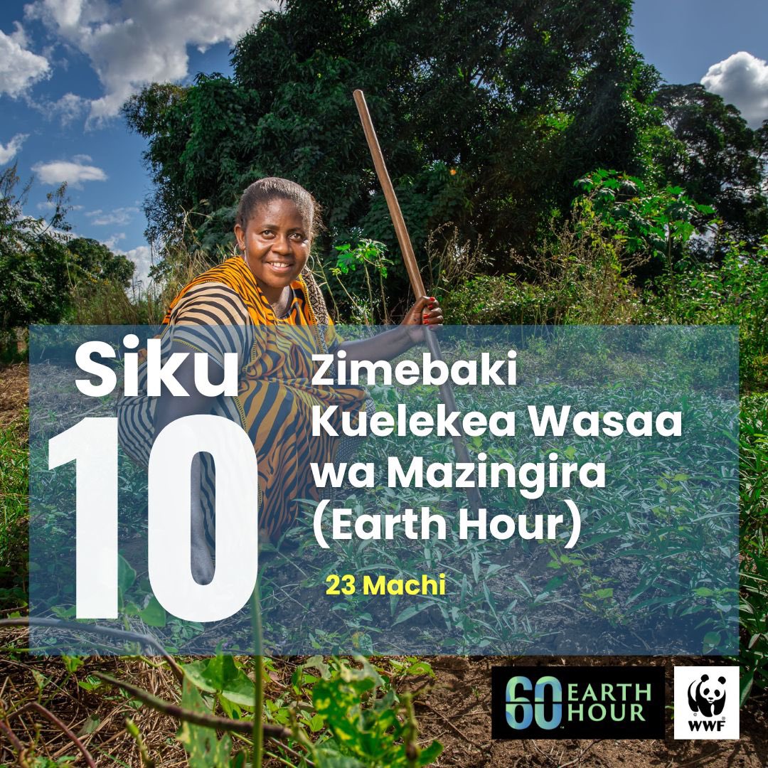 “Siku 10 “ Hadi sasa ni siku kumi tu kuelekea maadhimisho ya wasaa wa mazingira, tuendelee kuimalisha mifumo ya ikolojia, kulinda, na kutunza mazingira kwa maendeleo endelevu” #Biggesthourforearth, #Connect2Earth, #WWFTanzania.