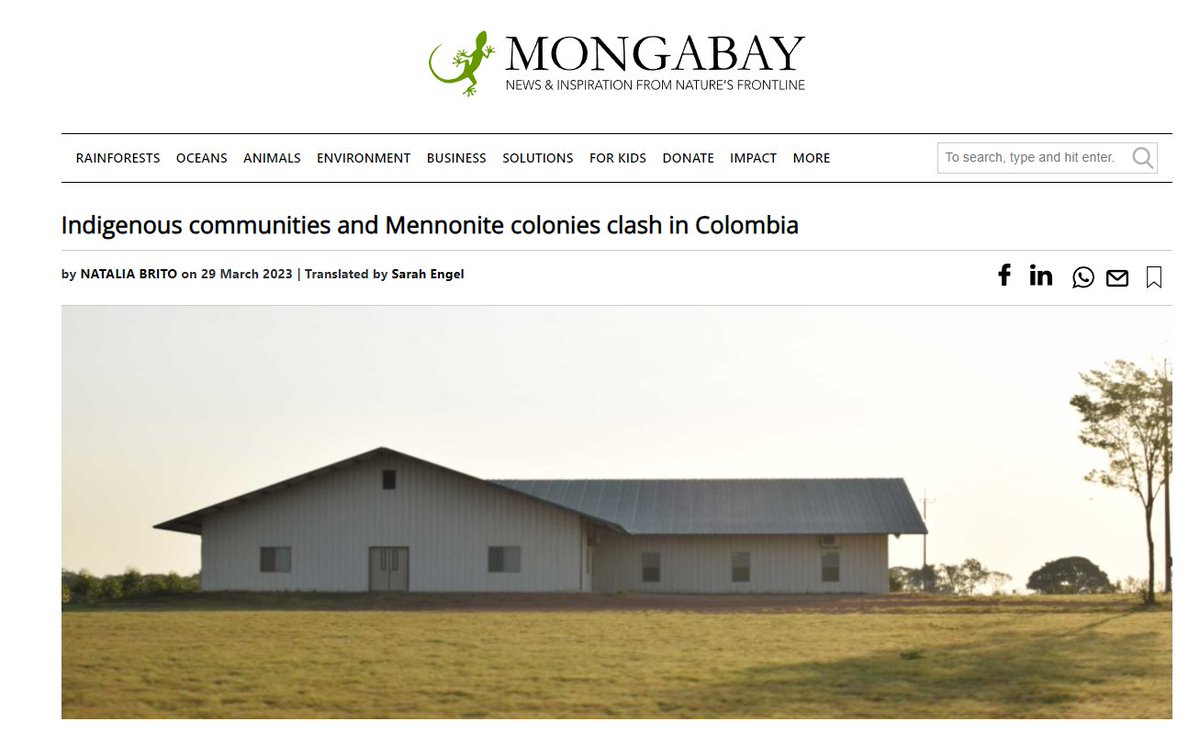 Indigenous communities and Mennonite colonies clash in Colombia In addition to massive deforestation from Mennonites we have documented in Peru & Bolivia, there are also impacts in Colombia news.mongabay.com/2023/03/indige… @MongabayLatam,@mongabay,@FcdsOrg