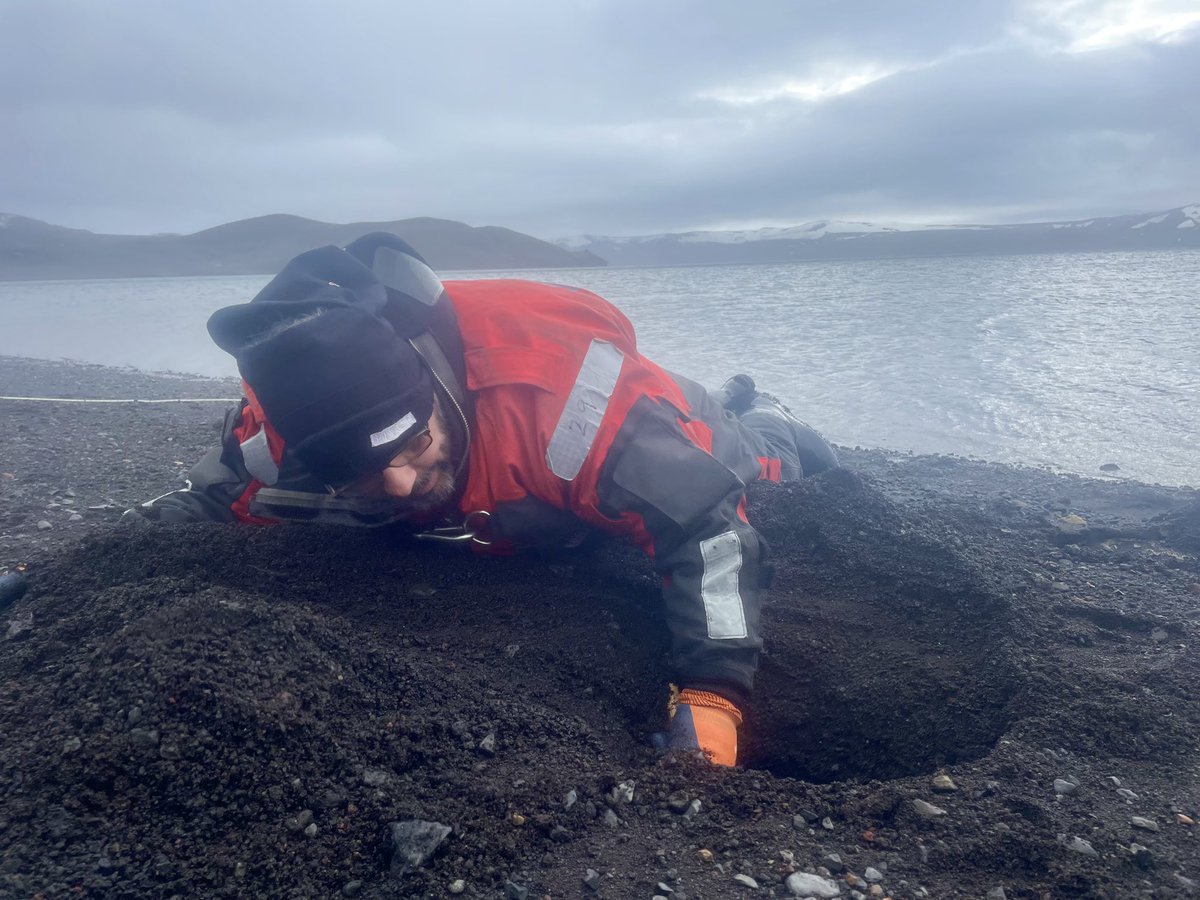 ExtremophilesUK's tweet image. One final week to go in this amazing expedition to the #Antarctic! #Fumaroles, #Penguins, amazing landscapes, and a great team! @AparnaMicrobio @INACHnet @antartica_ET @sklplanets #Macau #Chile #Spain #Portugal