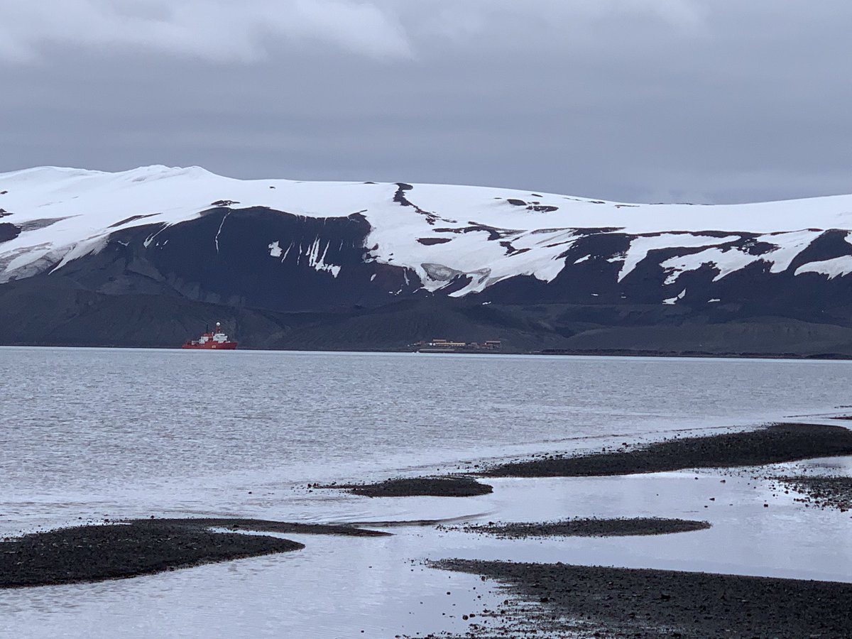 ExtremophilesUK's tweet image. One final week to go in this amazing expedition to the #Antarctic! #Fumaroles, #Penguins, amazing landscapes, and a great team! @AparnaMicrobio @INACHnet @antartica_ET @sklplanets #Macau #Chile #Spain #Portugal