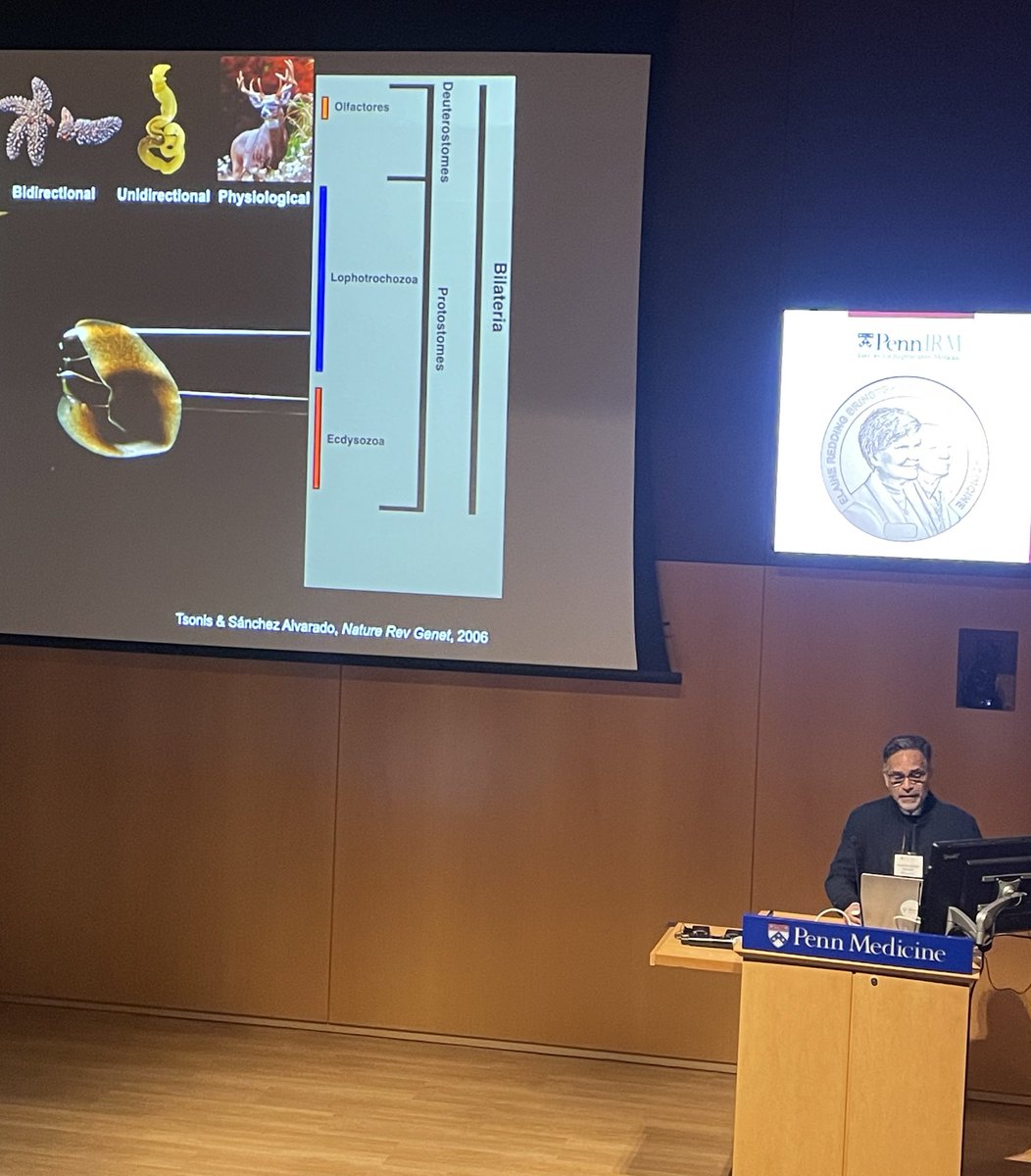 I’ll never stop admiring <a href="/Planaria1/">A. Sánchez Alvarado</a> and his passion for science. 
Yet another great day for #DevBio