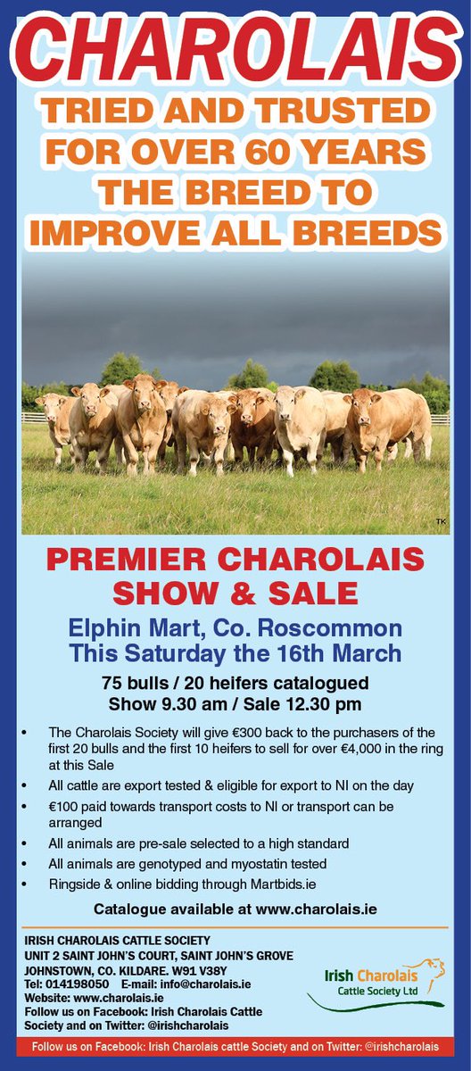 Charolais tweet media