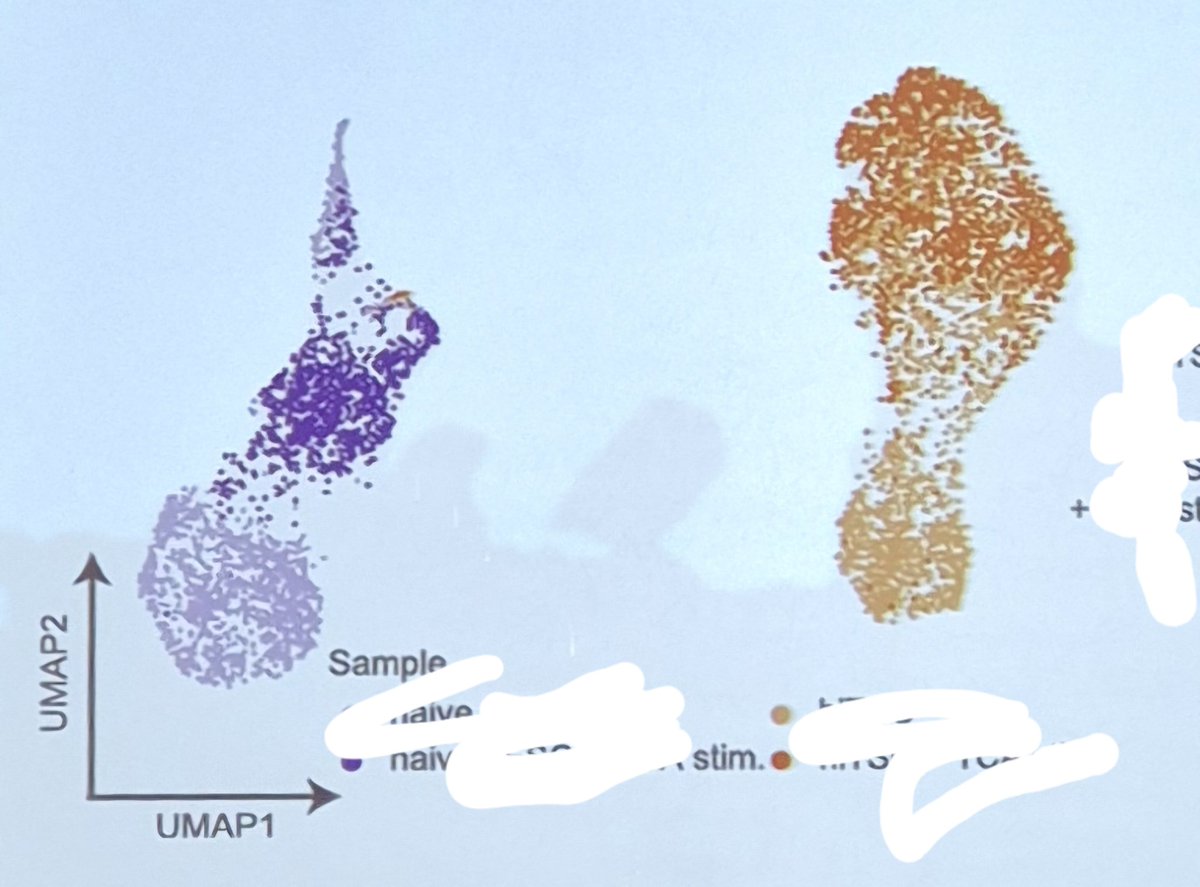 Cannot think about anything else but a nicely fried chicken leg from this UMAP. Is it only me?