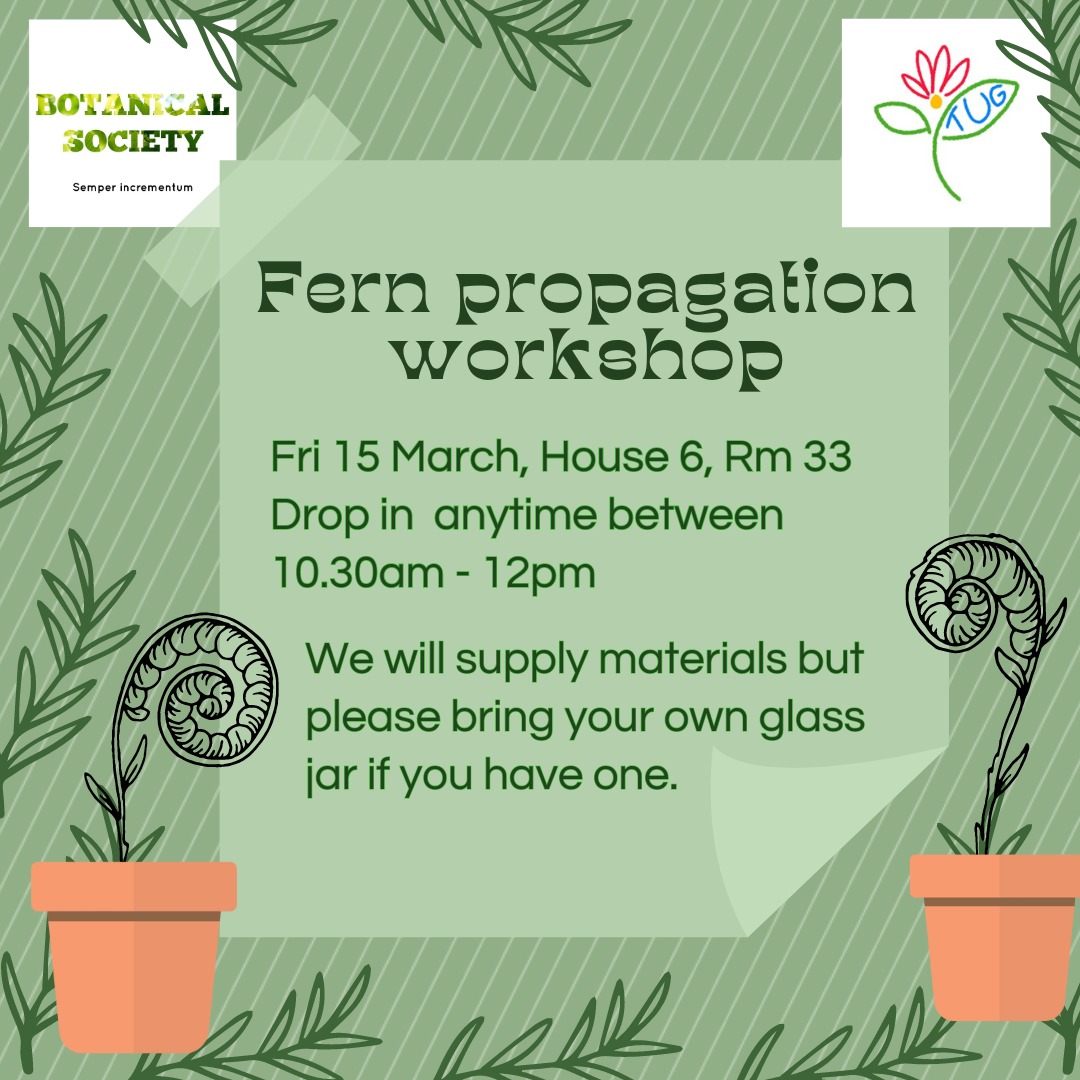 Simon Benson (@botanybenson) on Twitter photo I'm happy to announce that I'll be running a Fern propagation workshop for <a href="/tcddublin/">Trinity College Dublin</a> #GreenWeek with Trinity Urban Garden and <a href="/tcdbotsoc/">TCD Botanical Society</a>
Pop by on Friday morning to learn how to propagate your own ferns from spores, how ferns have sex, and why it's important for biodiversity! I'm happy to announce that I'll be running a Fern propagation workshop for <a href="/tcddublin/">Trinity College Dublin</a> #GreenWeek with Trinity Urban Garden and <a href="/tcdbotsoc/">TCD Botanical Society</a>
Pop by on Friday morning to learn how to propagate your own ferns from spores, how ferns have sex, and why it's important for biodiversity!
