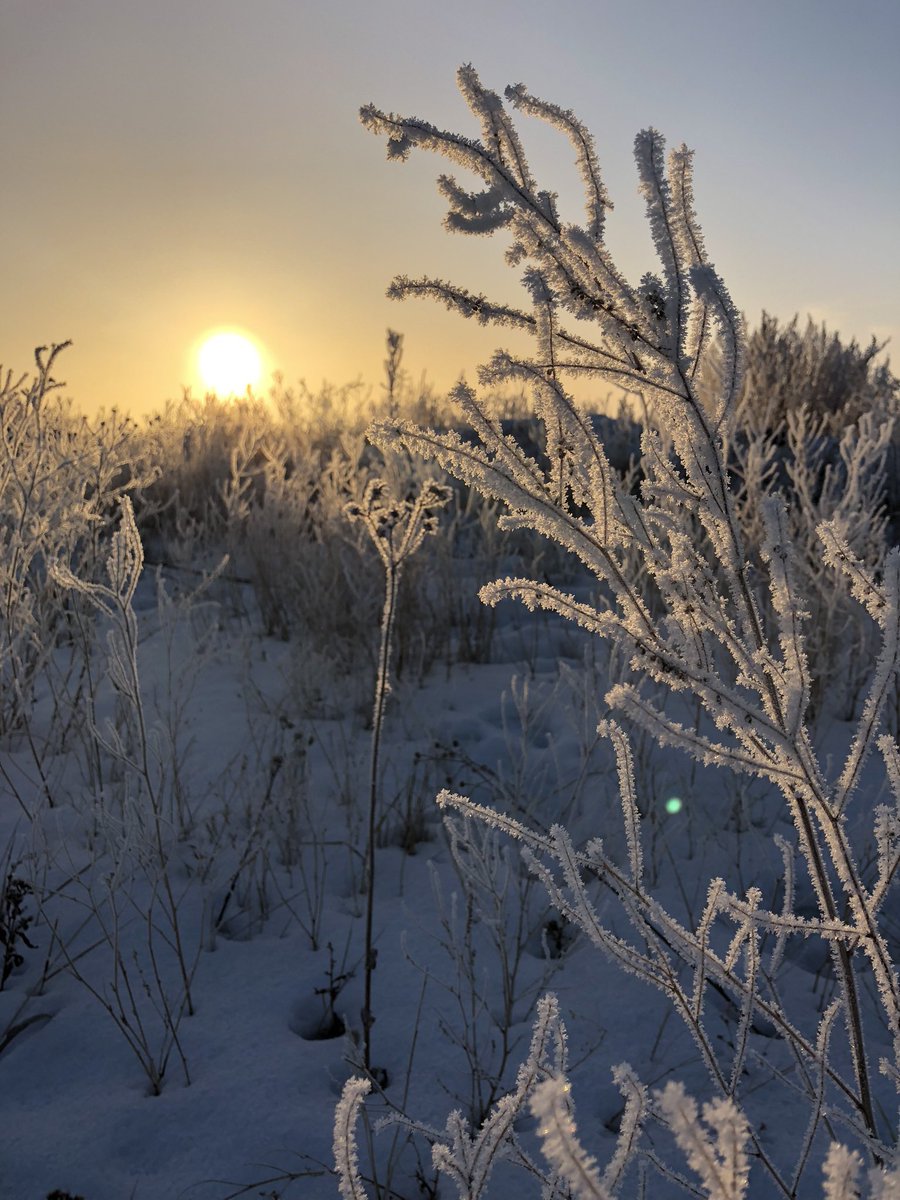 highheels&fields tweet media