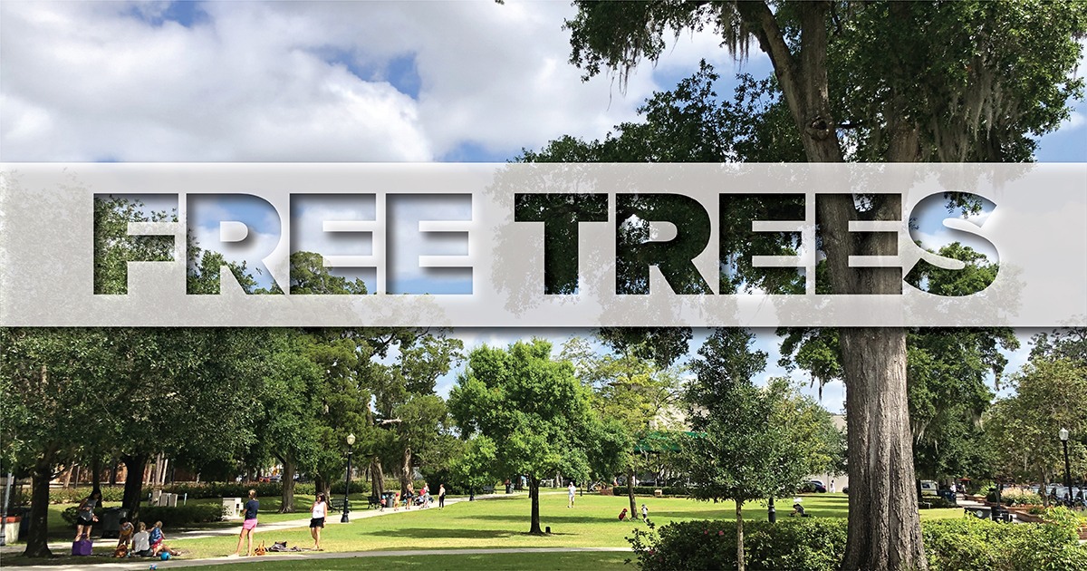 The city's Urban Forestry Division has once again partnered with the @arborday & Florida Forest Service to bring trees right to your front door! 🌳😍 So what are you waiting for?! 👀 ORDER YOUR TREE 👉🏻 cityofwinterpark.org/urbanforestry 👉🏻 Community Canopy Program Information
