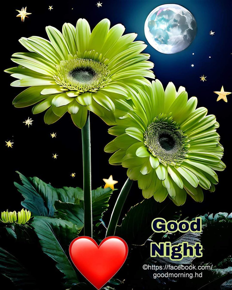 Goodnight,  to all my friends around the world.  I hope you all have a peaceful evening

#Beautifulphotos #Happymorning #HappyWednesday
✿*..•*¨`*•..¸✿*•..¸✿¸.•*¨`*•..¸
✿¸*•..¸✿¸.•*¨`*•..¸✿💚Dear...💚