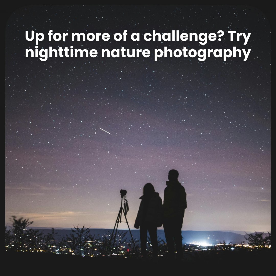 Looking to unleash your artistic and creative side? Let our planet be your muse this #EarthHour! Give an hour by finding ways to capture the beauty of our one shared home in a photo, poem, painting or your medium of choice - and in doing so, rekindle your desire to protect it.