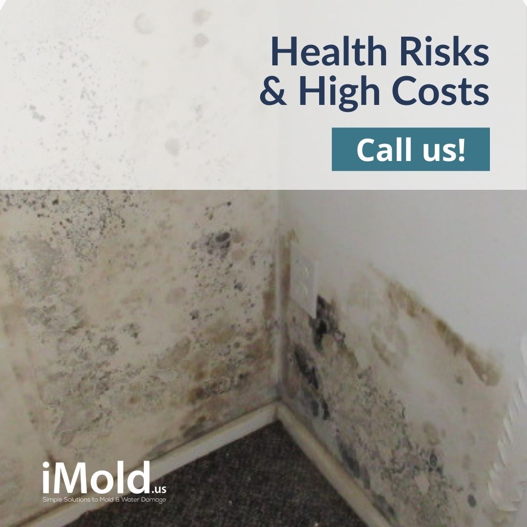 ⚠️ URGENT: WATER DAMAGE ALERT!
🚨 

Whether it's a minor leak or a major flood, your water damage is a ticking time bomb for toxic mold growth. 🕒 Act within 48-72 hours to prevent health risks and high costs! 💦 Call our licensed, certified, and experienced experts NOW! 📞 (2...