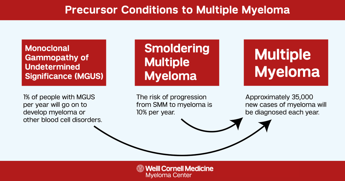 DYK: Conditions such as #MGUS and #SmolderingMyeloma are known as precursor conditions to #MultipleMyeloma because they also cause abnormal changes in the bone marrow? Learn more: bit.ly/3pcem5Z #MyelomaAwarenessMonth