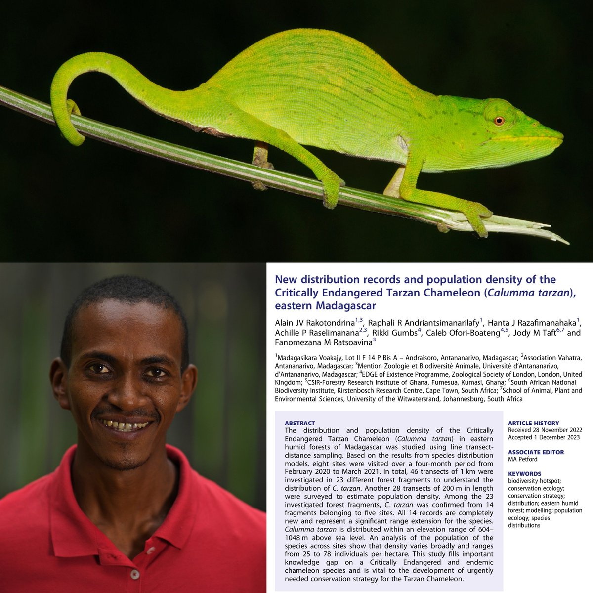 A huge congratulations to Alain Rakotondrina and team on the publication of research from his EDGE Fellowship! This important research will inform the long-term conservation of the Critically Endangered Tarzan Chameleon! Head to buff.ly/3VbB6kj to read the full paper.