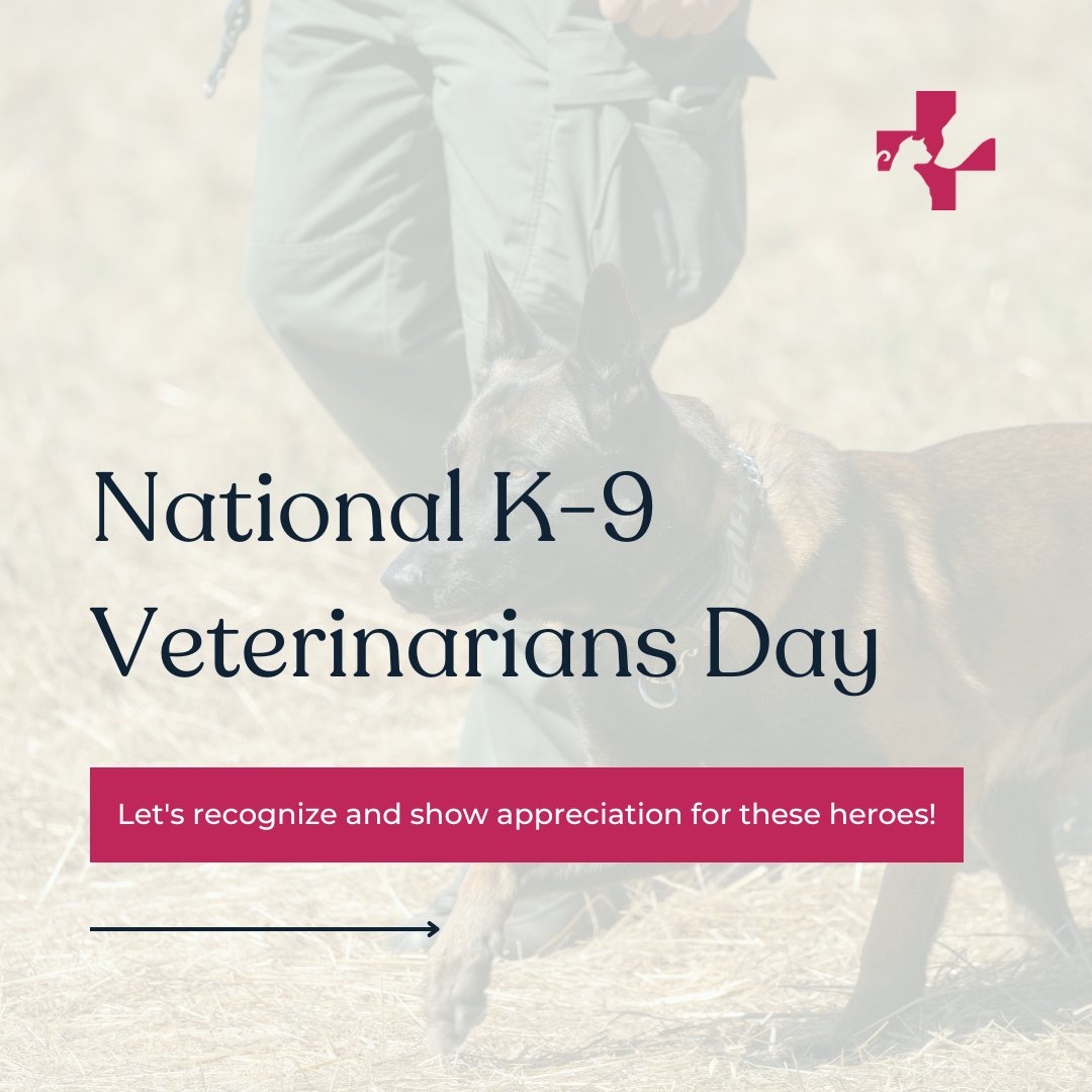 Pet Assure tweet media