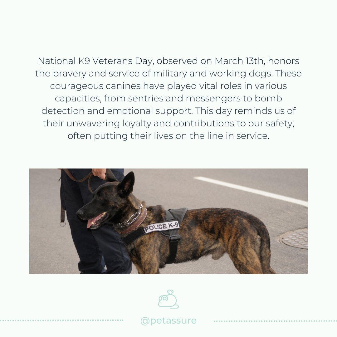 Pet Assure tweet media