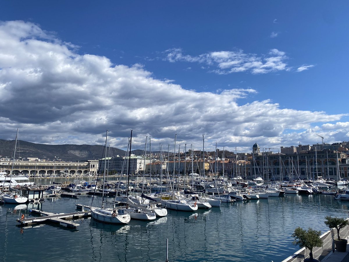 Elisabetta De Giorgi tweet media