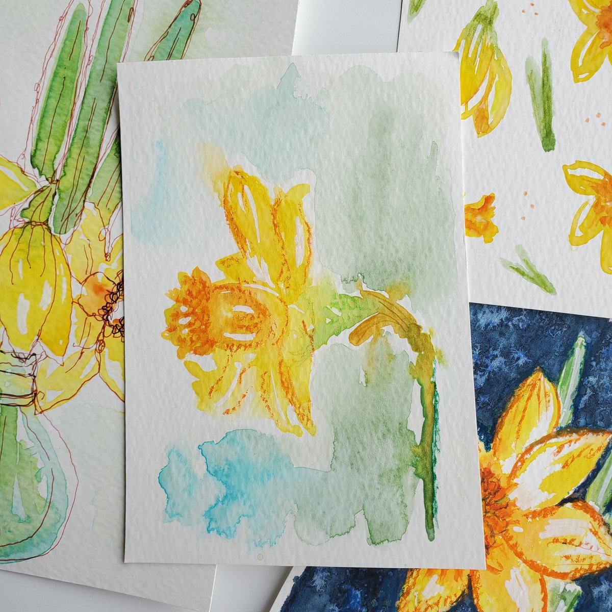 tunde_art's tweet photo. Celebrating spring flowers this week. While I created these studies using real models, the daffodil bud started to open under the strong light. It was magical.
#spring #daffodils #flowers #yallow #nature #tundeart #watercolour
Painting Moments Quietly #PMQ https://t.co/GUQNjrU447