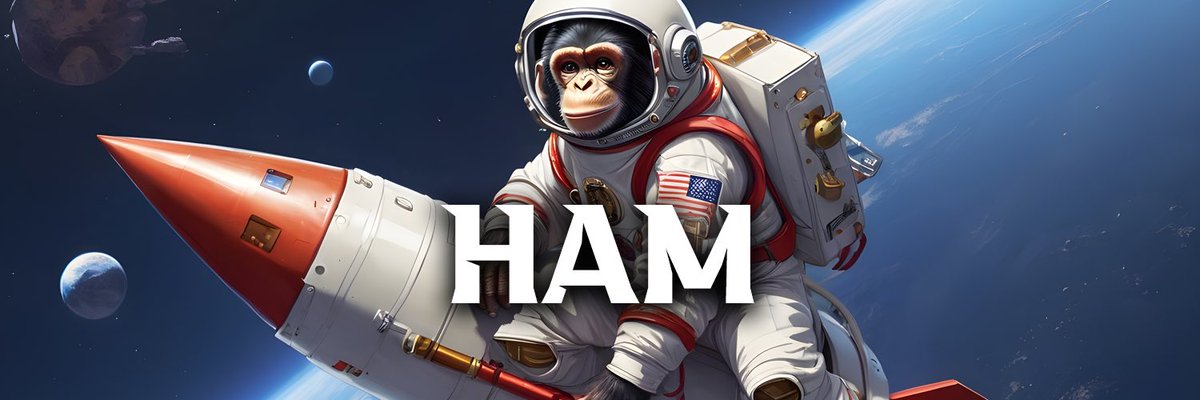 First Ape in Space tweet media