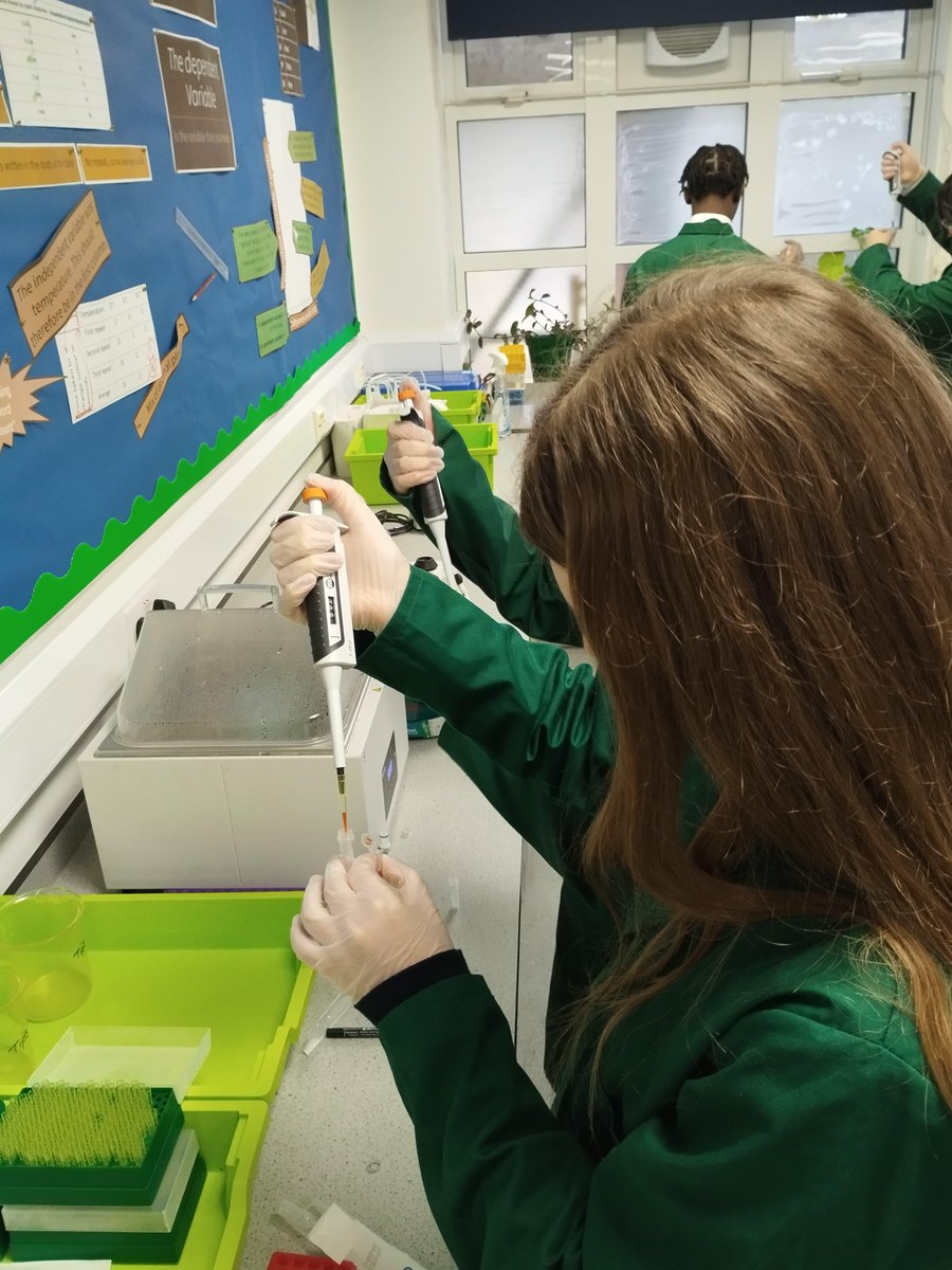 ElthamCollegeUK's tweet photo. Today our upper sixth students analysed their own DNA samples for the presence of an allele associated with taste perception, which gives coffee, sprouts and broccoli their bitter taste. π§¬βοΈπ₯¦
#ElthamCollege #ElthamSTEM #PTCTasting https://t.co/erUbpgWjLJ