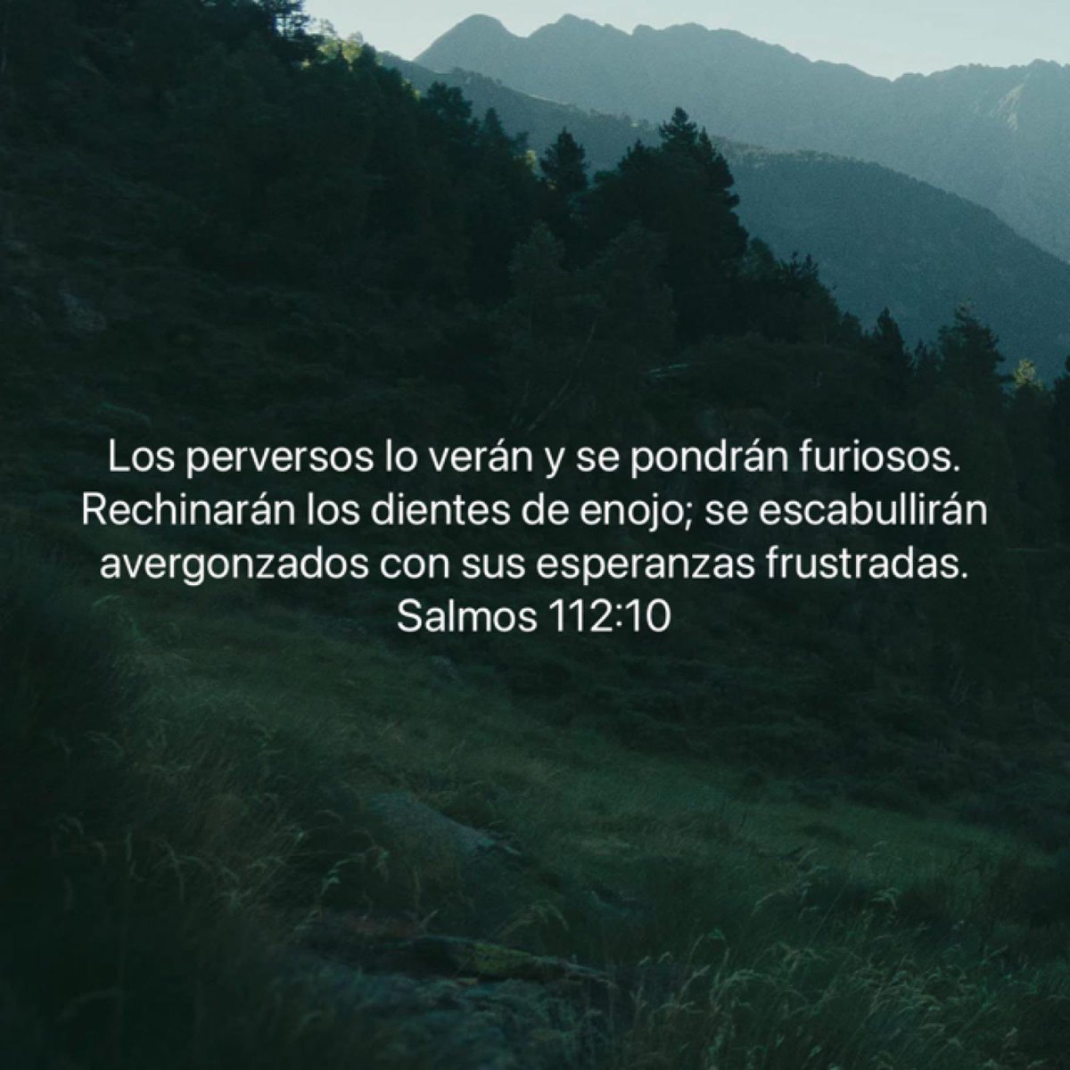 Hoy se cumple 1 año de la arbitraria persecución en mi contra. Con la frente en alto y la conciencia tranquila, me siento muy orgulloso en ser parte de la lista de personas perseguidas por las mafias a las que evidenciamos y llevamos a la justicia.

La verdad siempre prevalecerá