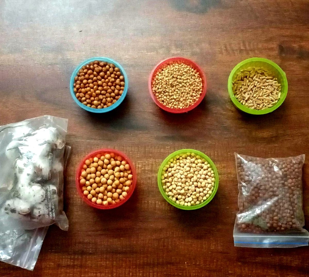 SSIAST's tweet photo. Indigenous crops provide high nutritional values &amp;  higher yields.
These are some rare varieties of seeds of Bansi wheat, Sona Moti wheat, cotton seeds, 2 varieties of Tur &amp; chana dal from Maharastra. SSIAST (AOL) expertise in  protecting the native seeds by multiplication. https://t.co/YIocwA6x4P