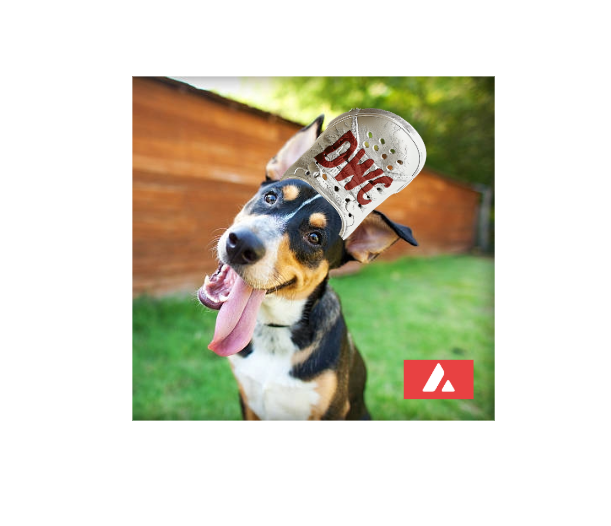 quietednights's tweet photo. @AltGemHunter $DWC @dogwifcrocs
It's a gem. Only WIF on $AVAX
Solid team and growth
#BigCrocEnergy #CrocStaysOn https://t.co/4SzgRXPZ9F