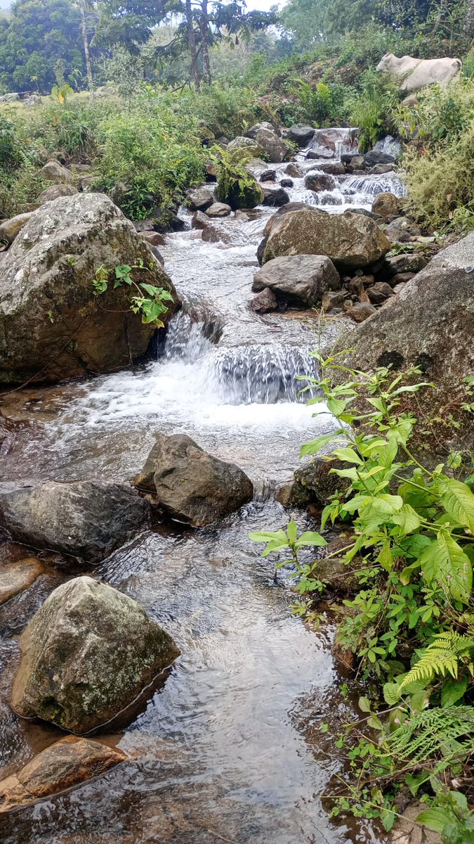 Agencia Nacional de Tierras tweet media