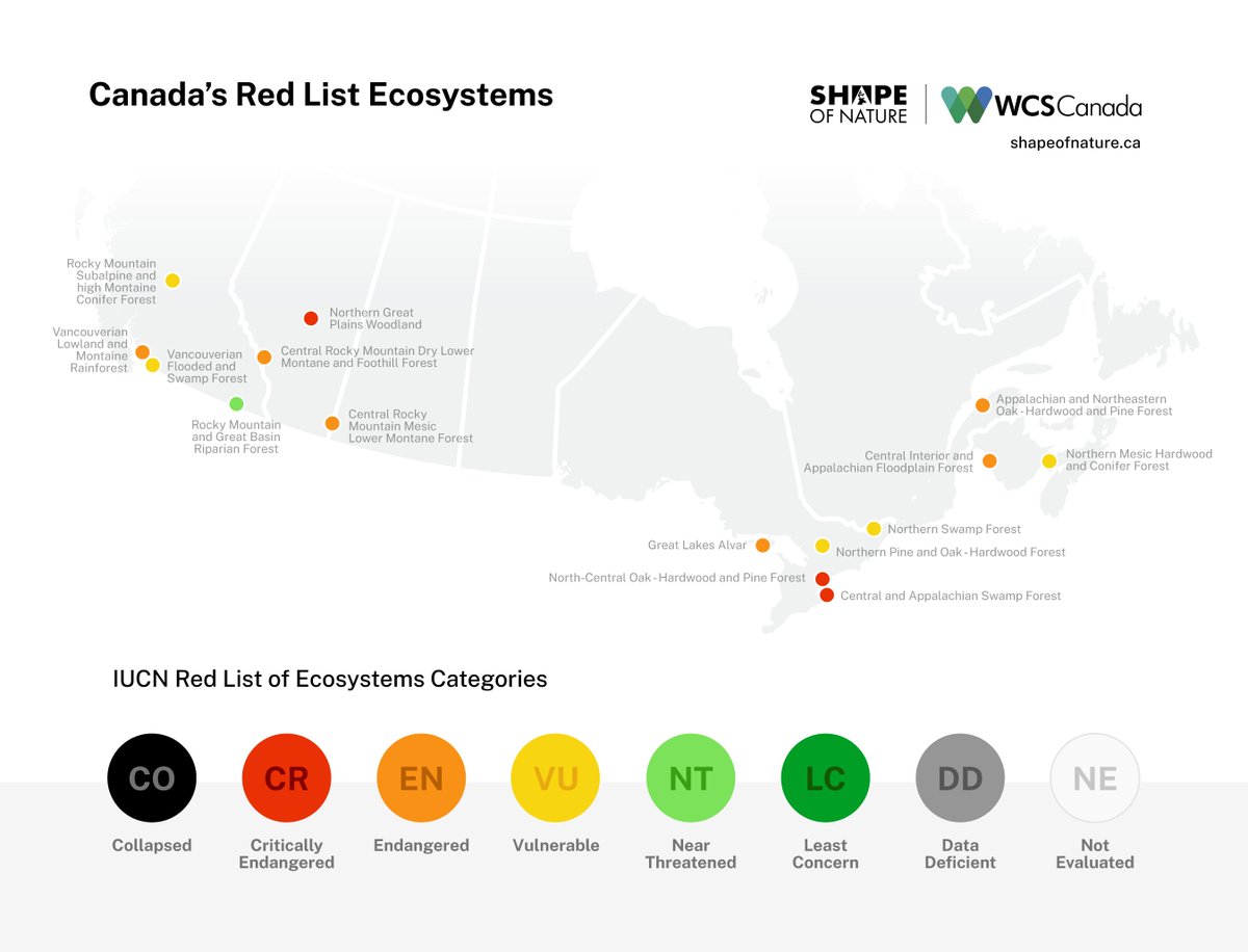 The role of Red List Ecosystems (RLE) in the Global Biodiversity Framework Challenges for Canada - we don't have an ecosystem classification system - few RLE have been identified @KBACanada is identifying threatened ecosystems & will help fill this gap nature.com/articles/s4155…