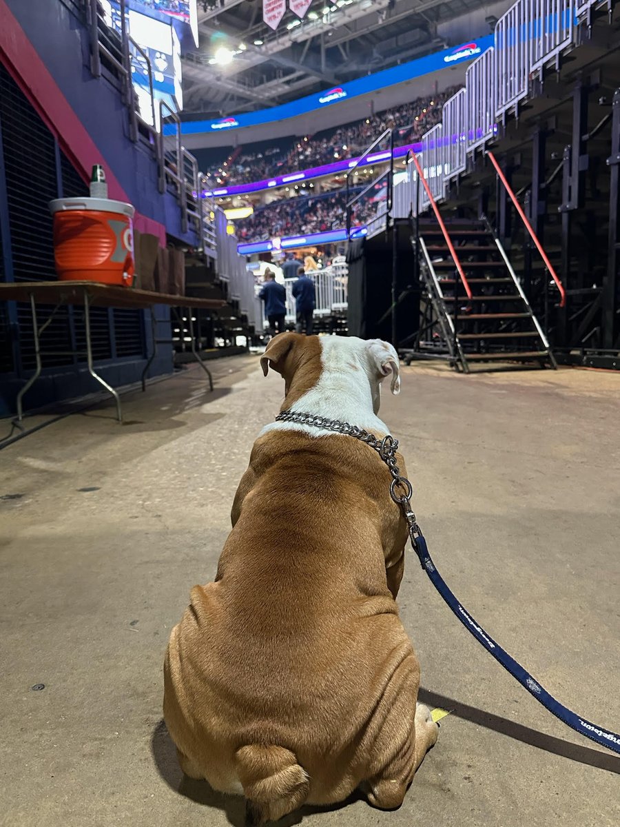 Jack's ready to cheer on @georgetownhoops tonight as they play in the first round of the @bigeast Tournament! 🏀 If you're like Jack and won't be there in-person, watch the game on FS1!