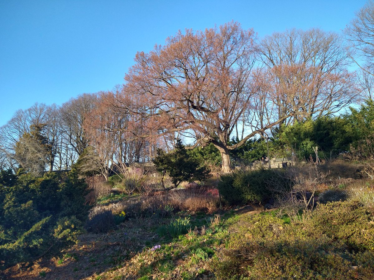 Lifesab5138's tweet photo. #PhotographyIsArt #fttryon #NYC https://t.co/tj8FgLHhqE