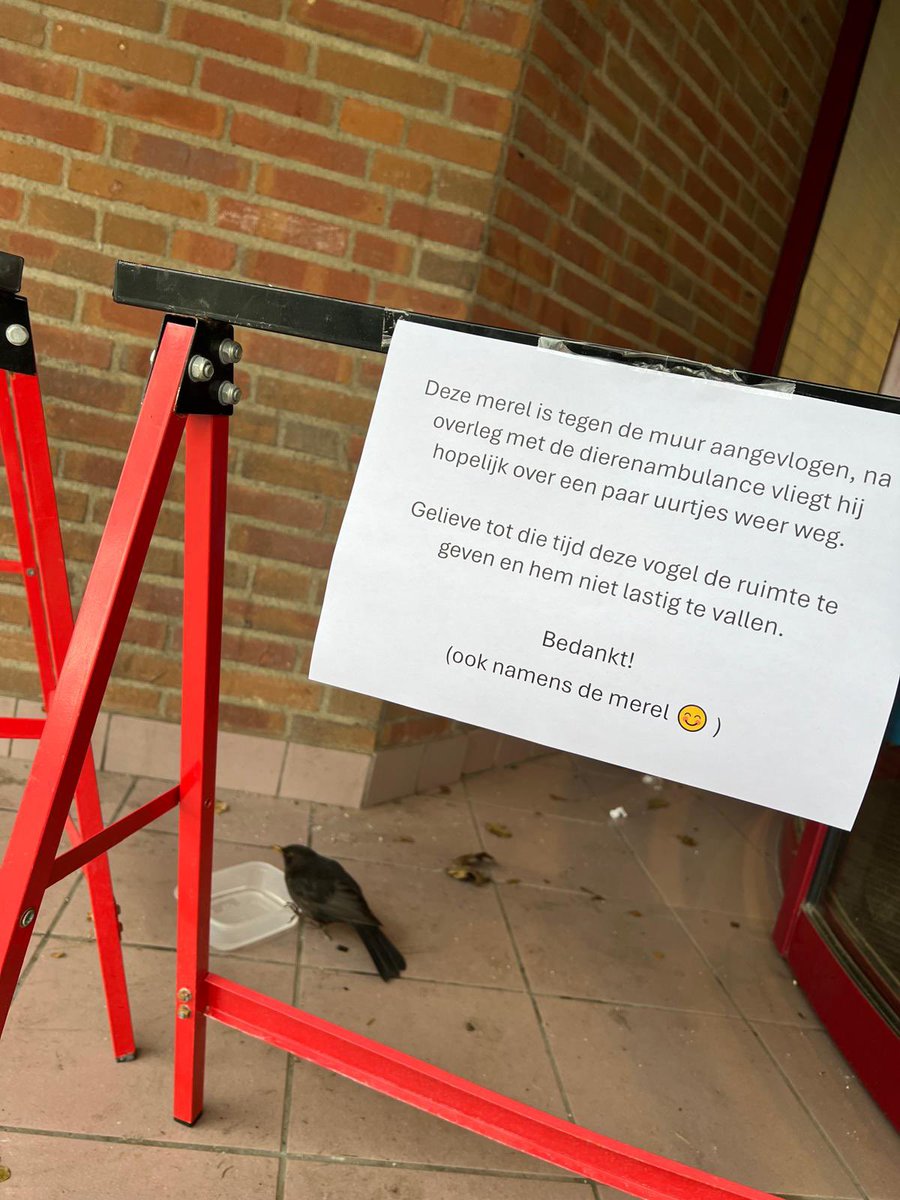 MarkLensselink's tweet photo. Dit is ook @SZuidplas …..niet alleen mensen in beweging brengen en zorgen dat kinderen leren zwemmen….we denken ook aan onze gevederde vrienden…. https://t.co/FYGjcxinLR
