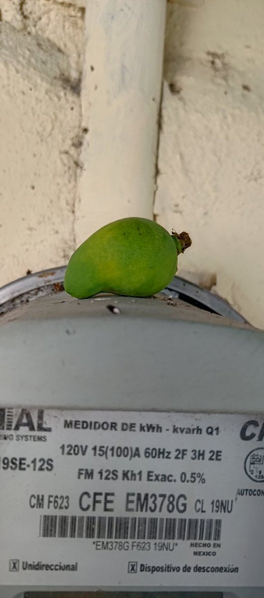 Disfruta de las pequeñas cosas de la vida , un día te darás cuenta de lo grande que eran .