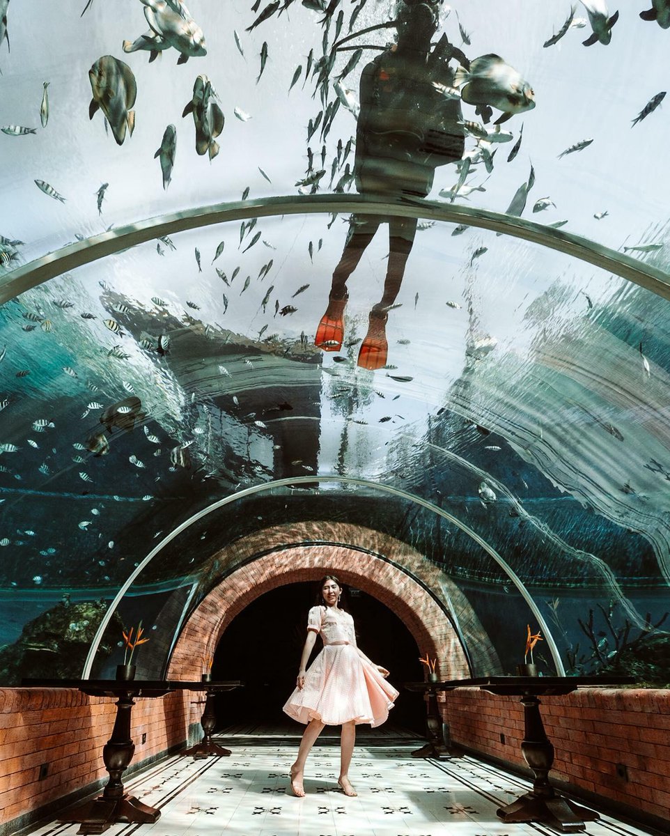 Seeing things from a different perspective. Dive into a world of enchantment and let your imagination run wild at Kora, the underwater restaurant at The Apurva Kempinski Bali. #Kempinski