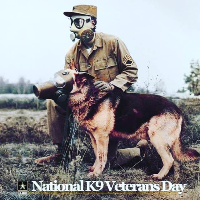 National K-9 Veterans Day on March 13 honors the contributions and sacrifices of military and working dogs, showcasing appreciation for their vital roles in safeguarding communities and the nation. #NationalK9VeteransDay #protectingtheblue #becarefuloutthere