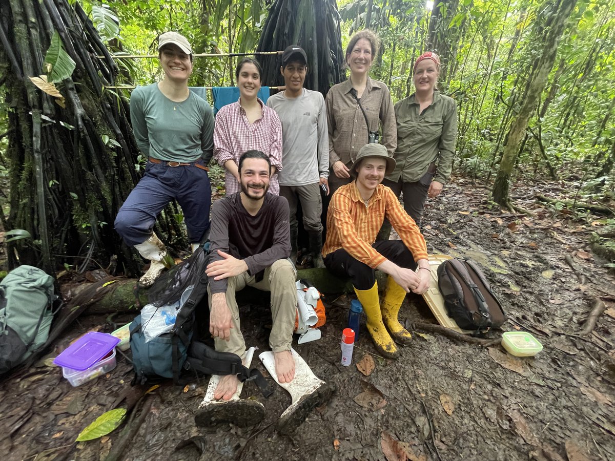 Nina Farwig (@ninafarwig) on Twitter photo Great start to the field season in #Chocó rainforest looking at #seedling-#herbivore interactions within <a href="/ReassemblyNet/">REASSEMBLY Research Unit reassemblynet.bsky.social</a>. <a href="/SybilleUnsicker/">Sybille Unsicker</a> <a href="/EvaTamal/">Eva Tamargo Lopez</a> <a href="/NinaFarwig/">Nina Farwig</a> Stella, Marco, Niko & Miguel Angel having fun.
<a href="/jocotoco_org/">FundaciónJocotoco</a> @KatrinHeer <a href="/ConsEcol/">ConsEcol</a> <a href="/Bio_UMR/">Biology Uni Marburg</a>
<a href="/kieluni/">Universität Kiel CAU 🎓</a> <a href="/UniFreiburg/">Universität Freiburg</a> Great start to the field season in #Chocó rainforest looking at #seedling-#herbivore interactions within <a href="/ReassemblyNet/">REASSEMBLY Research Unit reassemblynet.bsky.social</a>. <a href="/SybilleUnsicker/">Sybille Unsicker</a> <a href="/EvaTamal/">Eva Tamargo Lopez</a> <a href="/NinaFarwig/">Nina Farwig</a> Stella, Marco, Niko & Miguel Angel having fun.
<a href="/jocotoco_org/">FundaciónJocotoco</a> @KatrinHeer <a href="/ConsEcol/">ConsEcol</a> <a href="/Bio_UMR/">Biology Uni Marburg</a>
<a href="/kieluni/">Universität Kiel CAU 🎓</a> <a href="/UniFreiburg/">Universität Freiburg</a>