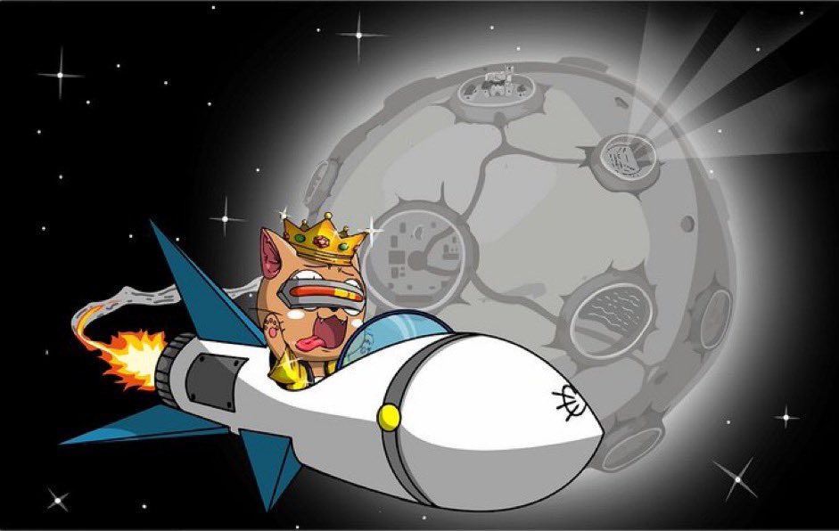 Catnopia tweet media