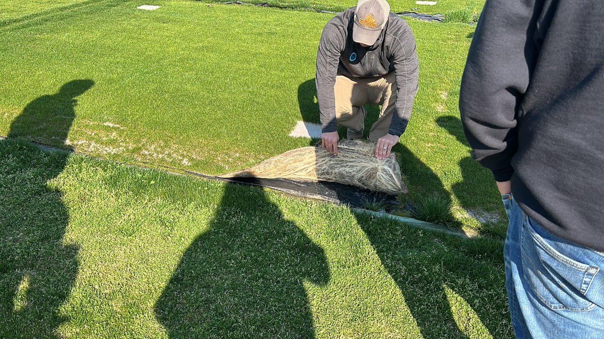 Sod on plastic research for World Cup Soccer @CAFSatUTK