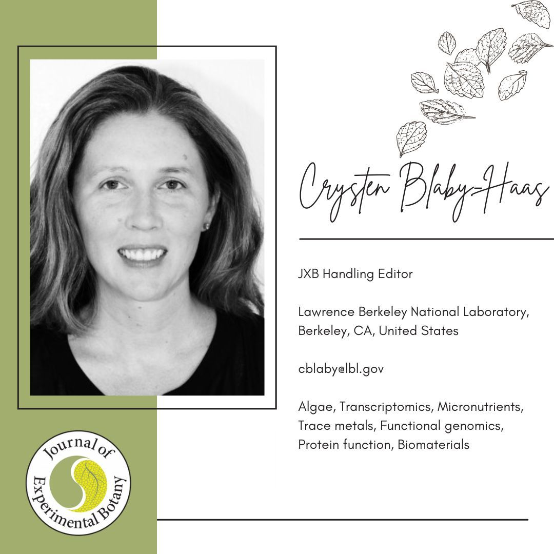 JXBot's tweet photo. Meet Crysten Blaby-Haas, our JXB Handling Editor specialising in Algae, Transcriptomics, Micronutrients, and Trace metals. #JXB #AlgaeResearch #TranscriptomicsExpert #Micronutrients #TraceMetals #FunctionalGenomics #ProteinStudies #BiomaterialsScience https://t.co/203mnaWKrt