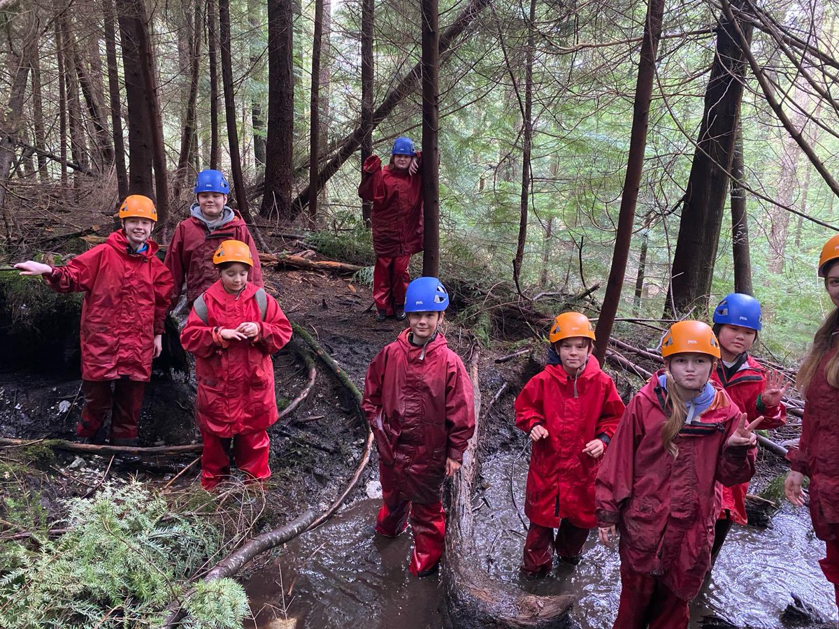 MrsRhodeCV's tweet photo. Group 4 - We had such a fun time this morning in the gorge! Lots of happy campers! @Castleview_PS @mrspearsoncv https://t.co/azRFepBuwu